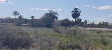 Vente Terrain Rojales  Espagne
