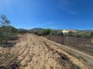 Vente Terrain Salinas  18088 m2 Espagne