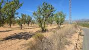 Vente Terrain Salinas  23102 m2 Espagne