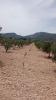 Vente Terrain Salinas  10663 m2 Espagne