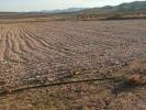Vente Terrain Salinas  32767 m2 Espagne
