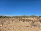 Vente Terrain Salinas  13753 m2 Espagne