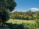 Vente Maison San-pedro-de-alcantara  597 m2 Espagne