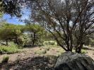 Vente Terrain San-roque 3455 m2 Espagne