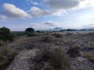 Vente Terrain Sax  15309 m2 Espagne