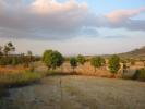 Vente Terrain Sineu  104 m2 Espagne