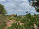 Vente Maison Son-servera  518 m2 Espagne