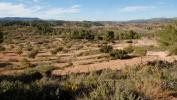 Vente Terrain Teresa-de-cofrentes  125 m2 Espagne