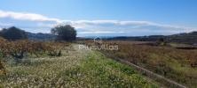 Vente Terrain Teulada  8443 m2 Espagne