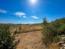 Vente Terrain Teulada  13059 m2 Espagne