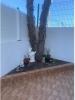 Vente Appartement Torrevieja 60 m2 Espagne