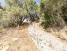 Vente Terrain Torrox  Espagne