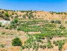 Vente Terrain Torrox Espagne