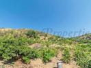 Vente Terrain Torrox Espagne