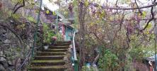 Vente Terrain Vega-de-san-mateo  9000 m2 Espagne