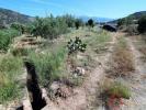 Vente Terrain Velez-de-benaudalla 2192 m2 Espagne