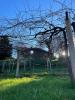 Vente Maison Vilaboa  190 m2 Espagne
