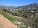 Vente Terrain Vinuela VIAUELA 7182 m2 Espagne