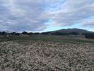 Vente Terrain Yecla  20000 m2 Espagne