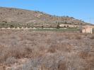 Vente Terrain Yecla  22874 m2 Espagne