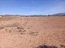 Vente Terrain Yecla  22000 m2 Espagne