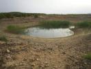 Vente Terrain Yecla 32767 m2 Espagne