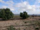 Vente Terrain Yecla 9808 m2 Espagne