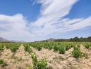 Vente Maison Yecla  696 m2 Espagne