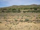 Vente Terrain Yecla  8754 m2 Espagne