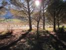 Vente Terrain Yecla  8266 m2 Espagne