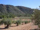Vente Terrain Yecla  19496 m2 Espagne