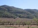 Vente Terrain Yecla  20054 m2 Espagne
