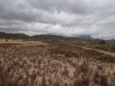 Vente Terrain ABANILLA 30640