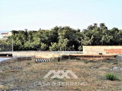 Vente Terrain ALGARROBO 29750