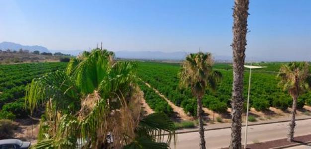 Vente Appartement ALGORFA 03169