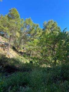 Vente Terrain ALHAMA-SPRINGS 03599