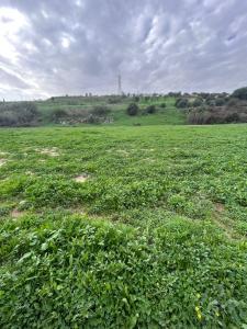Vente Terrain ALHAURIN-DE-LA-TORRE 29130