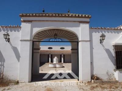 Vente Terrain ALMAYATE-BAJO 29749