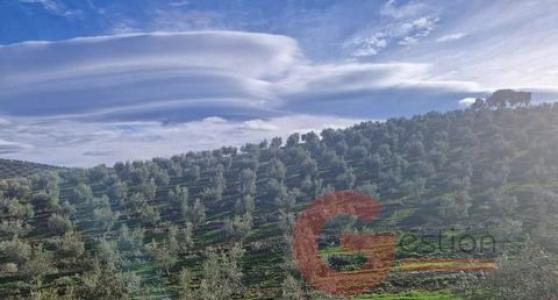 Vente Maison ALMONTARAS 18816