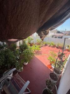 Vente Maison ALMONTE 21730