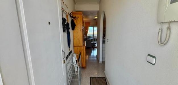 Vente Appartement ALMORADI 03160
