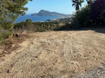 Vente Terrain ALTEA 03590