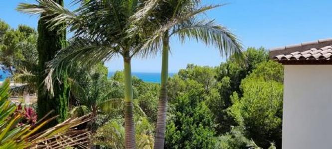 Vente Maison ALTEA 03590