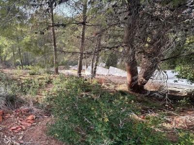 Vente Terrain ALTEA 03590