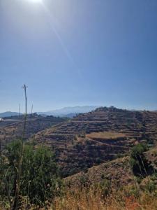 Vente Terrain ATRABO 18612