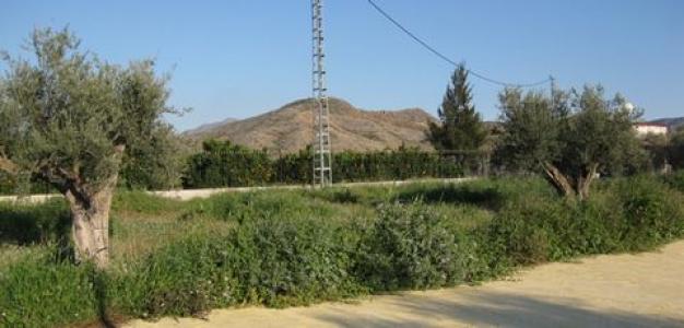 Vente Maison BENFERRI 03316