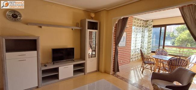 Location Appartement BENIDORM 03500