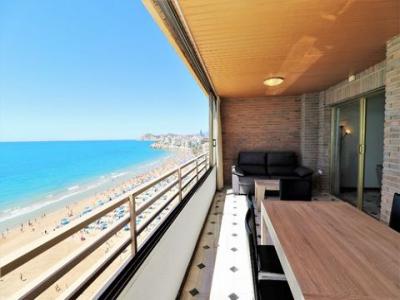 Location vacances Appartement BENIDORM 03500
