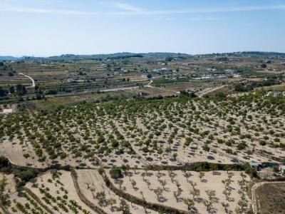 Vente Terrain BENISSA 03720