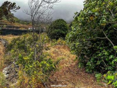 Vente Terrain BUENAVISTA-DEL-NORTE 38480